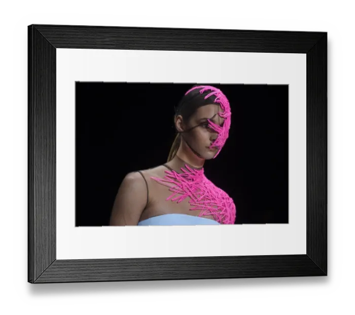 Framed Print : Fashion Australia the Innovators