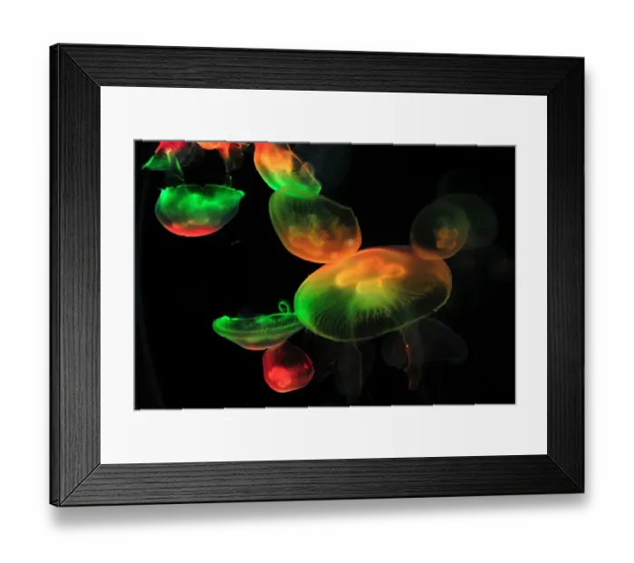 Framed Print : China-Theme-Tourism