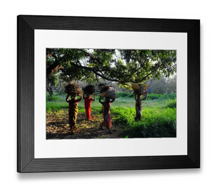 Framed Print : India-Society