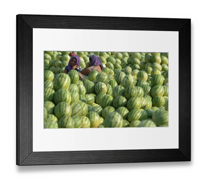 Framed Print : India-Economy-Agriculture