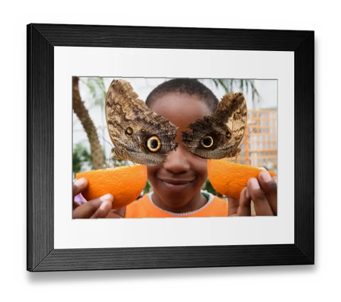 Framed Print : Britain-Animal-Butterfly Framed Print : Britain-Animal-Butterfly