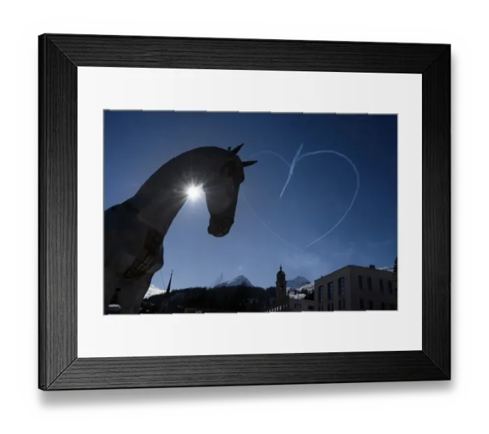 Framed Print : Switzerland-Offbeat-Animal-Horse Framed Print : Switzerland-Offbeat-Animal-Horse