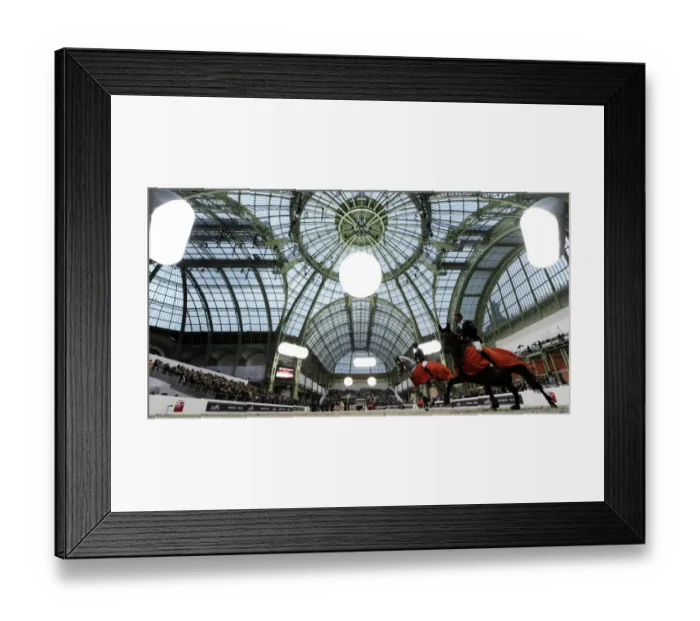 Framed Print : Animals. Agence France-Presse (AFP). Animals Framed Print : Animals. Agence France-Presse (AFP). Animals