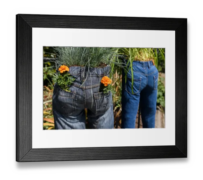 Framed Print : Britain-Offbeat-Flowers