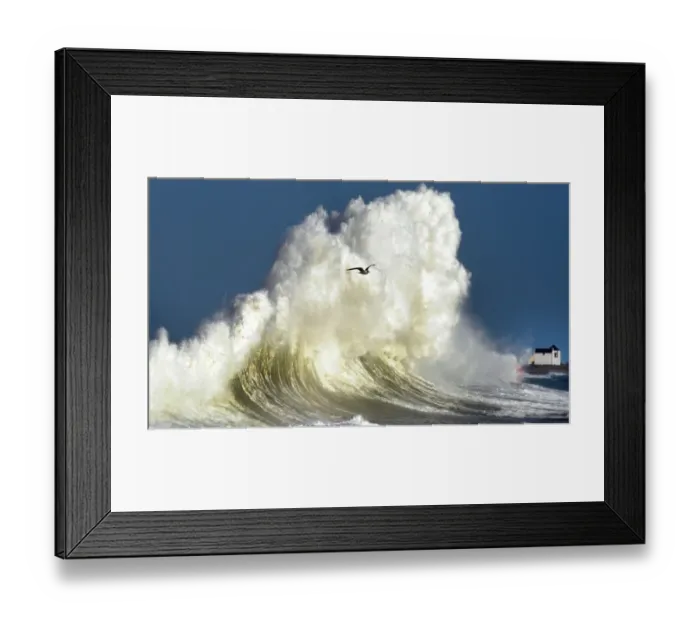 Framed Print : France-Weather-Wave-Bird Framed Print : France-Weather-Wave-Bird