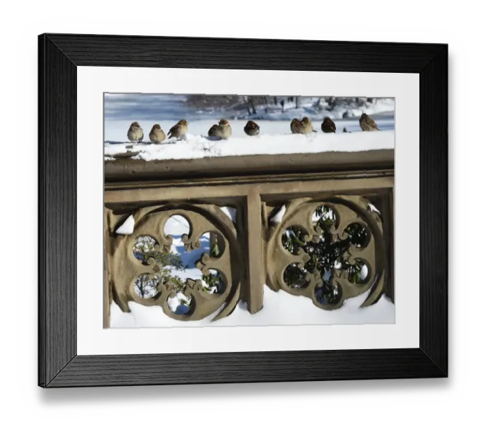 Framed Print : Us-Weather-Snow Framed Print : Us-Weather-Snow