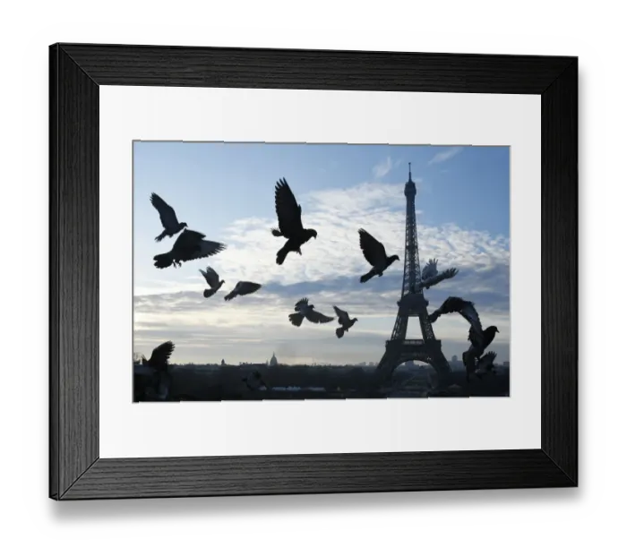 Framed Print : France-Eiffel-Tower-Feature
