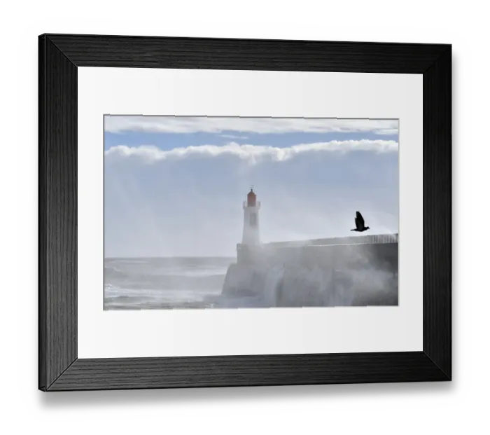 Framed Print : France-Pier-Waves-Birds