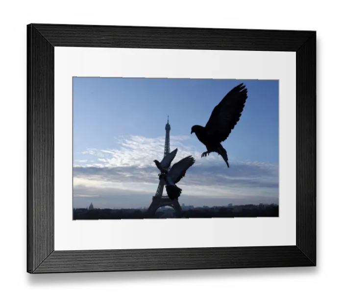 Framed Print : France-Feature-Eiffel-Tower