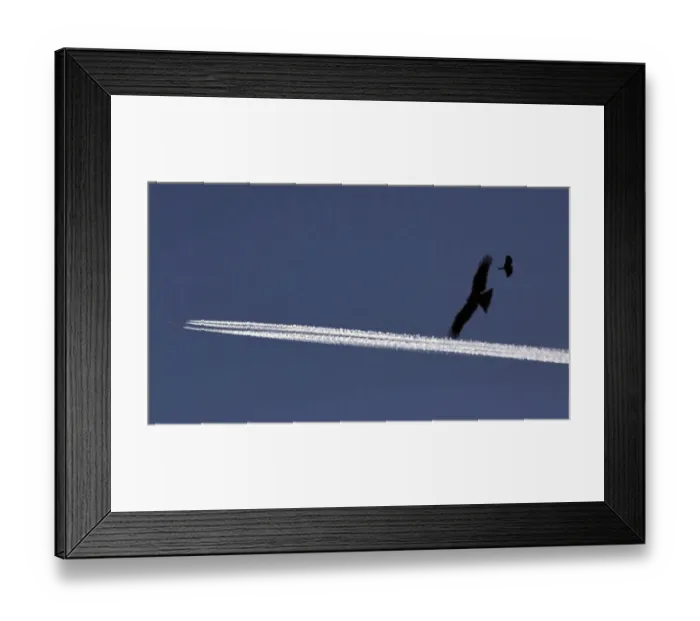 Framed Print : Pakistan-Environment-Plane Framed Print : Pakistan-Environment-Plane