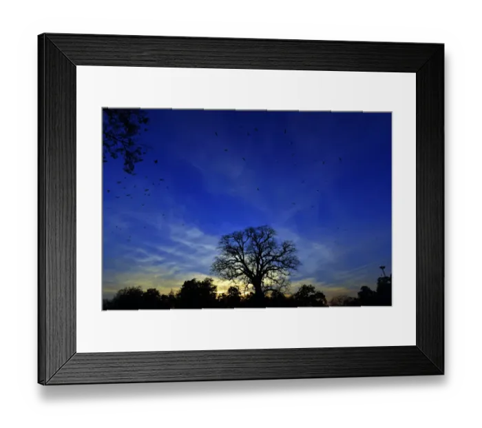 Framed Print : Pakistan-Theme-Light