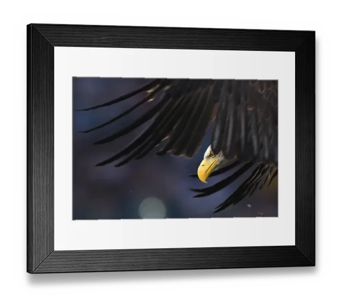 Framed Print : Fbl-Ita-Seriea-Lazio-Udinese-Feature Framed Print : Fbl-Ita-Seriea-Lazio-Udinese-Feature