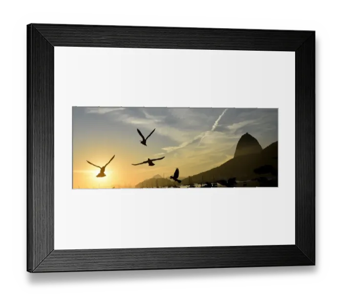 Framed Print : Brazil-Birds-Mountain Framed Print : Brazil-Birds-Mountain