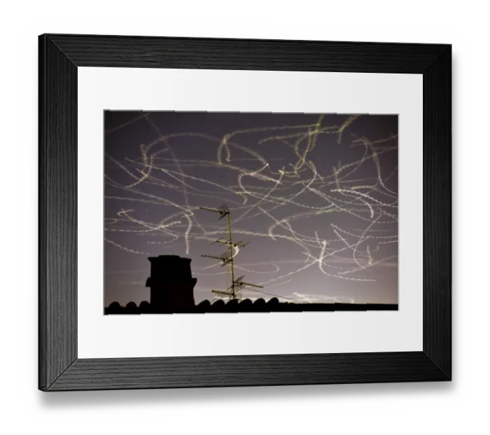 Framed Print : Italy-Seagulls