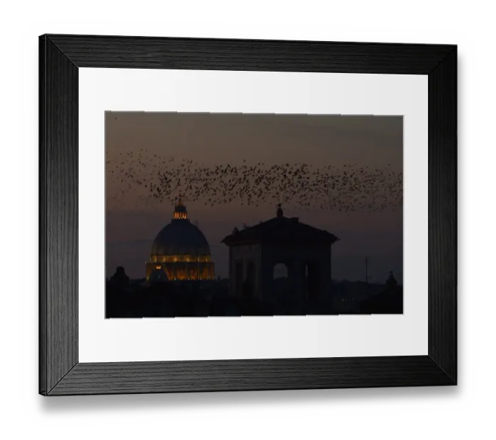Framed Print : Italy-Birds-Migration-Starlings