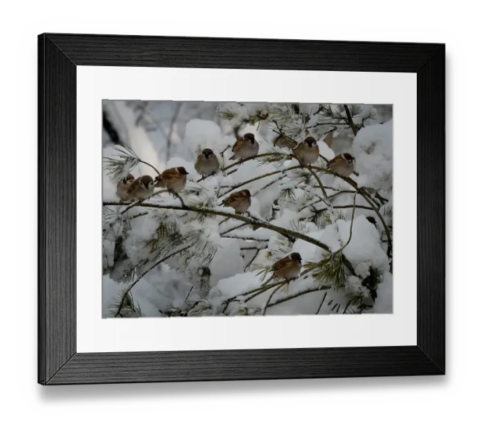 Framed Print : China-Weather-Snow