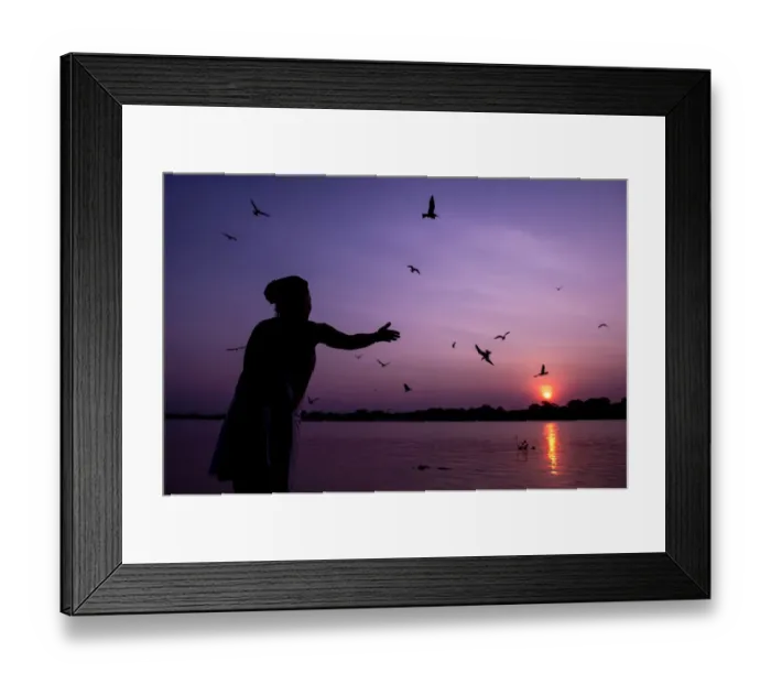 Framed Print : Brazil-Environment-Pantanal