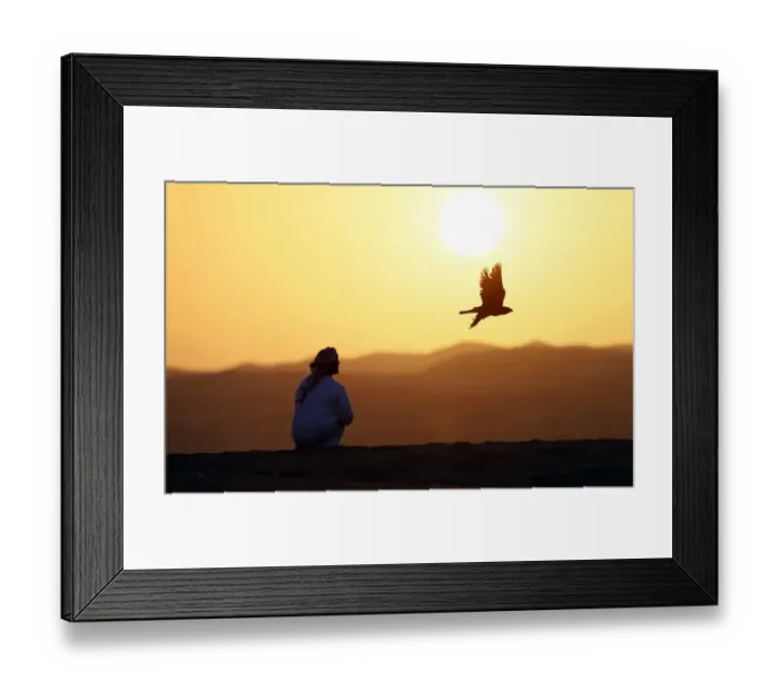 Framed Print : Uae-Festival-Falconry