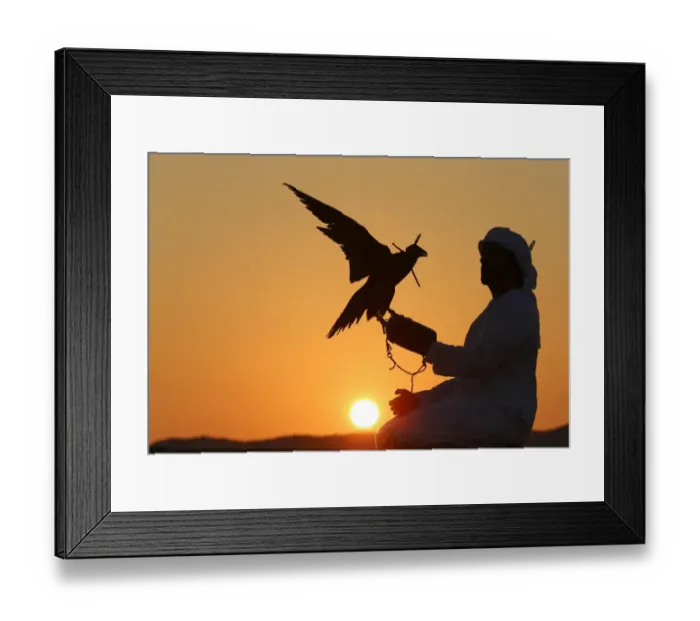 Framed Print : Uae-Animals-Falconry Framed Print : Uae-Animals-Falconry