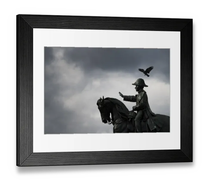 Framed Print : Switzerland-Feature-Statue-Bird Framed Print : Switzerland-Feature-Statue-Bird