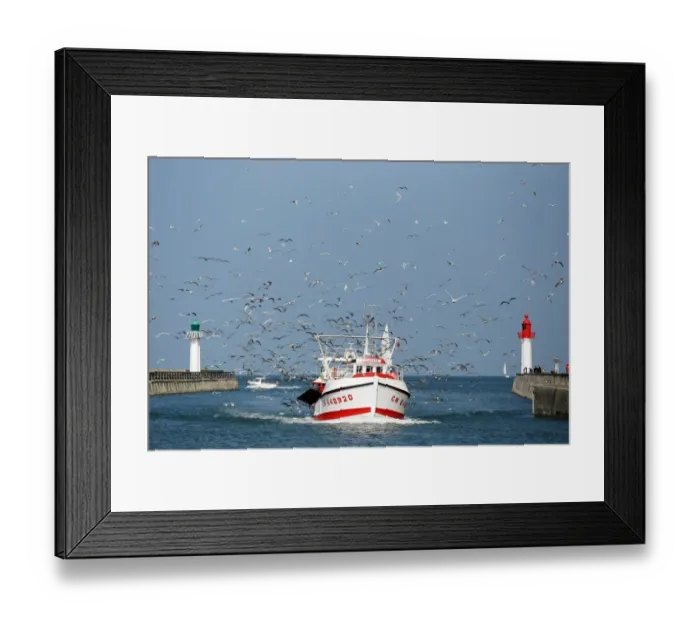 Framed Print : France-Fishing-Boat-Birds Framed Print : France-Fishing-Boat-Birds