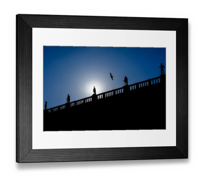 Framed Print : A seagull flies over the statues of the Museum Capitolinis palace at Capitol