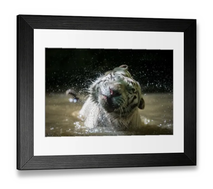 Framed Print : France-Animal-Feature