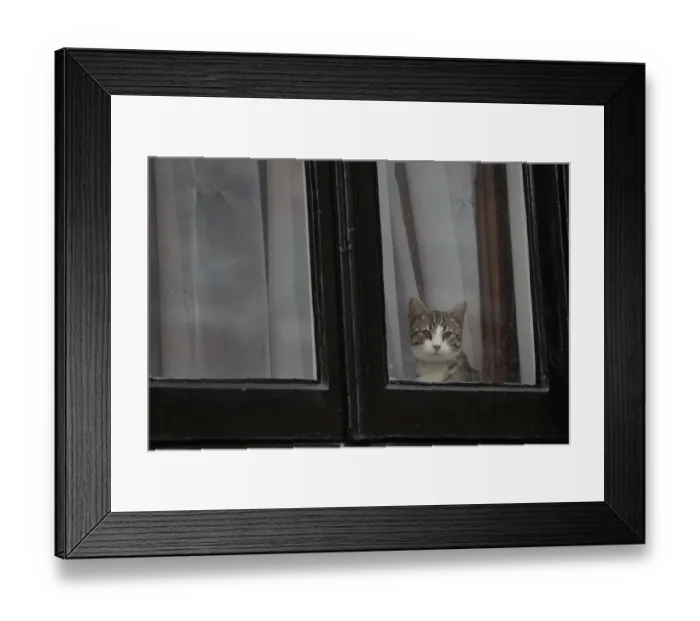 Framed Print : Britain-Sweden-Ecuador-Australia-Diplomacy-Extradition Framed Print : Britain-Sweden-Ecuador-Australia-Diplomacy-Extradition