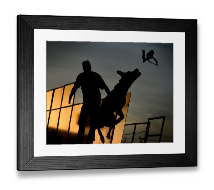 Framed Print : Us-Animals-Record-Jump