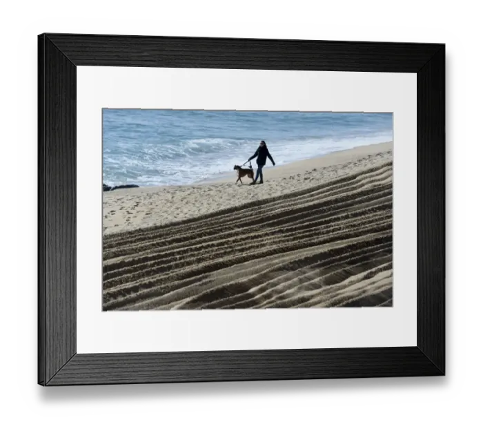 Framed Print : Spain - Beach - Dog