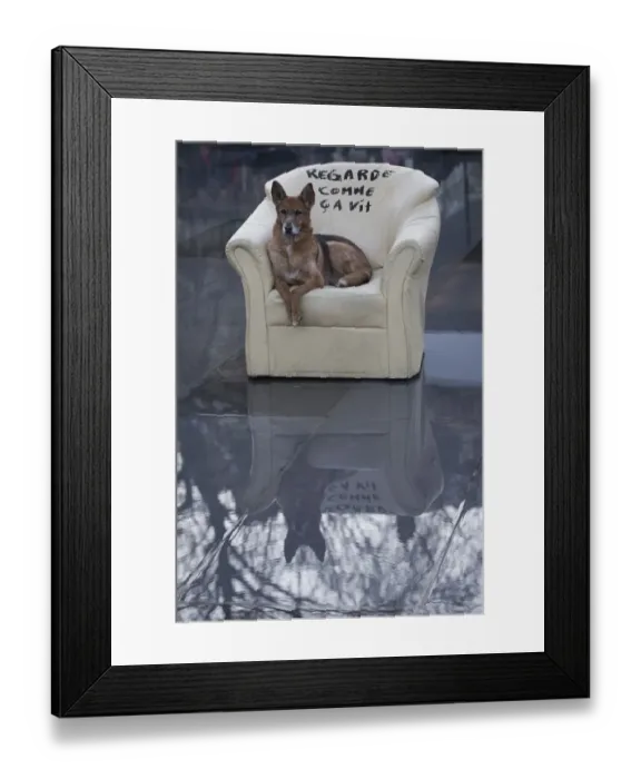 Framed Print : France-Politics-Dog Framed Print : France-Politics-Dog