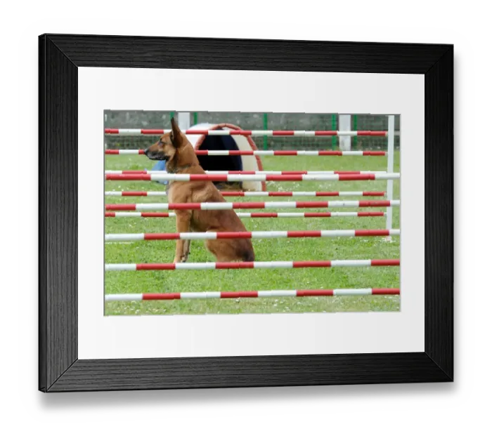Framed Print : France-Police-Gendarmerie-Dog