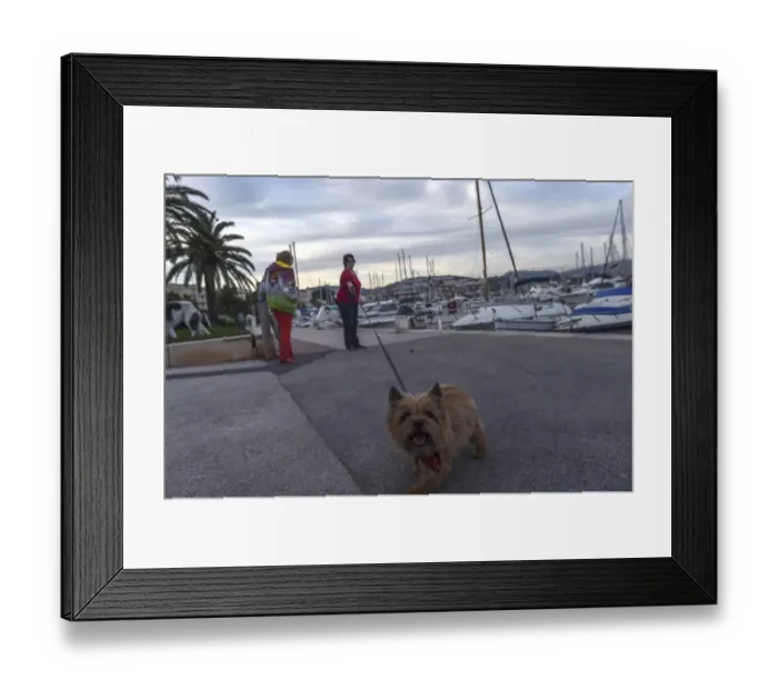 Framed Print : France-Tourism-Feature-Dog