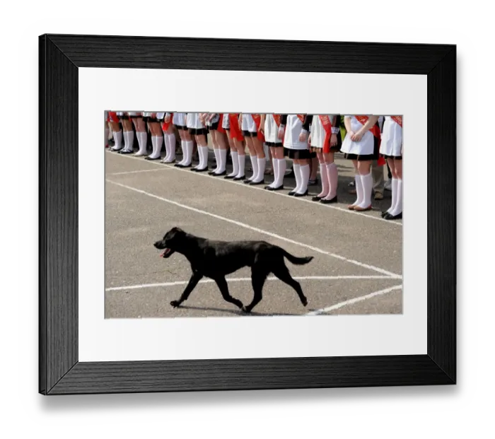 Framed Print : Belarus-Ceremony-Dog