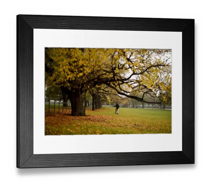 Framed Print : Australia-Weather-Winter-Dog