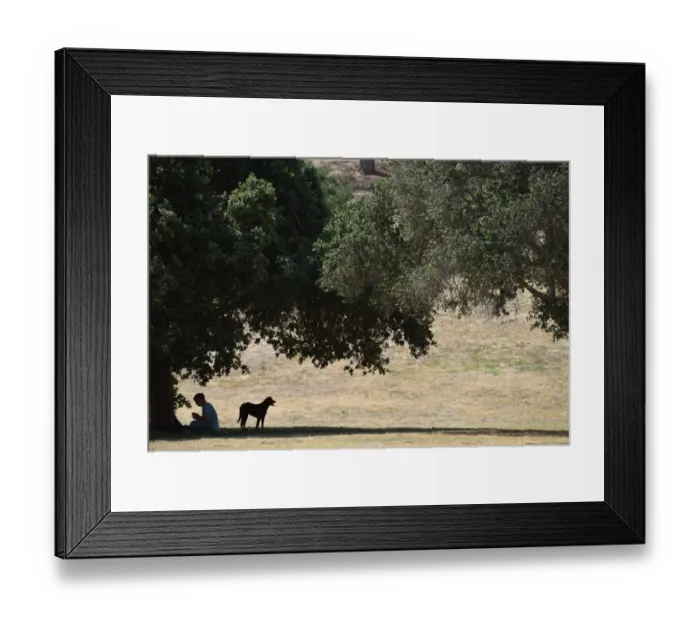 Framed Print : Us-Weather-Heat-California-Dog