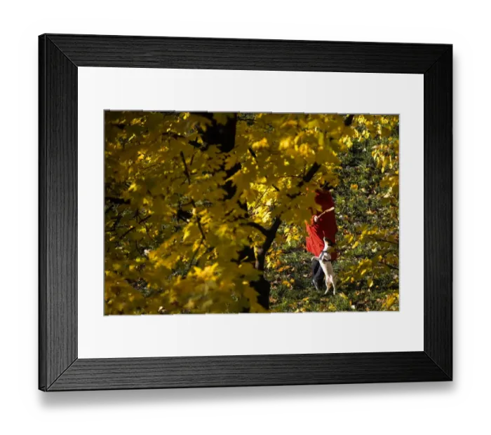 Framed Print : Russia-Weather-Feature-Dog