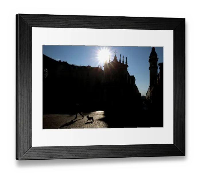 Framed Print : Italy-Turin-Feature-Dog