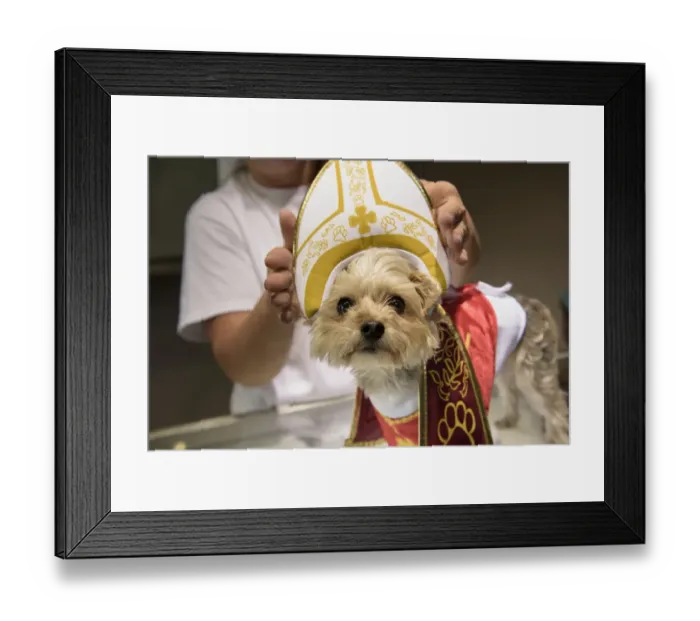 Framed Print : Us-Vatican-Religion-Pope Framed Print : Us-Vatican-Religion-Pope