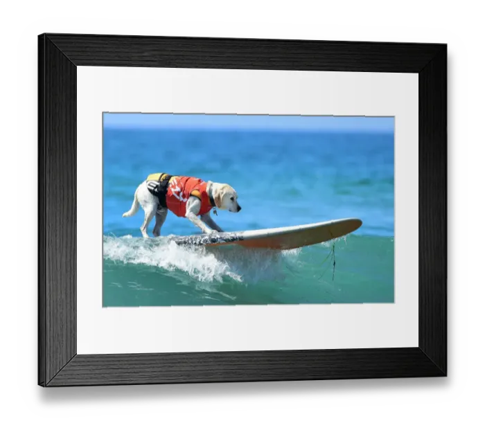 Framed Print : Us-Aminals-Surf-Dogs Framed Print : Us-Aminals-Surf-Dogs