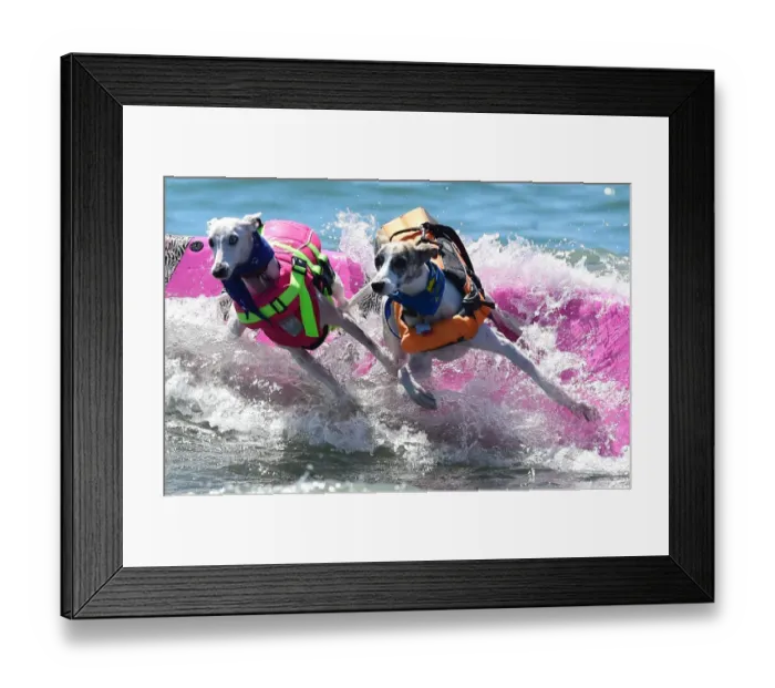 Framed Print : Us-Aminals-Surf-Dogs