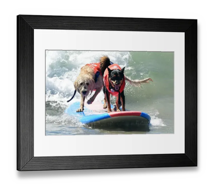 Framed Print : Us-Aminals-Surf-Dogs