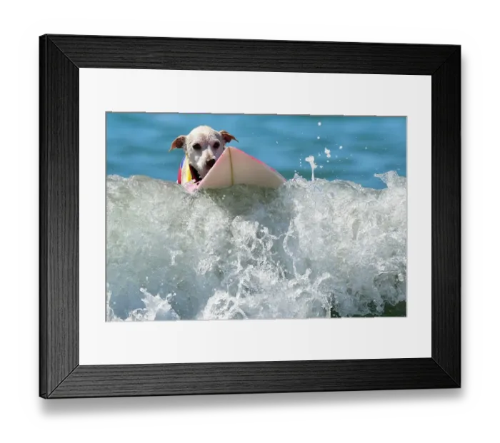Framed Print : Us-Aminals-Surf-Dogs