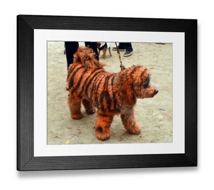 Framed Print : Us-Halloween-Dog-Parade Framed Print : Us-Halloween-Dog-Parade