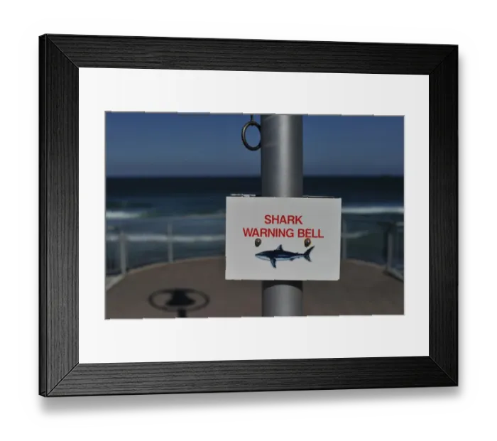 Framed Print : New Zealand-Shark-Offbeat Framed Print : New Zealand-Shark-Offbeat
