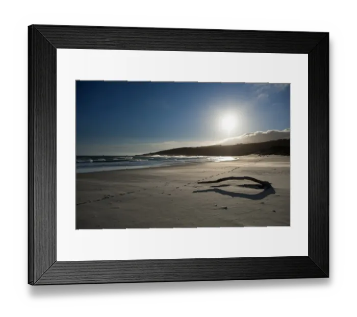 Framed Print : New Zealand-Sandfly Bay- Beach Framed Print : New Zealand-Sandfly Bay- Beach