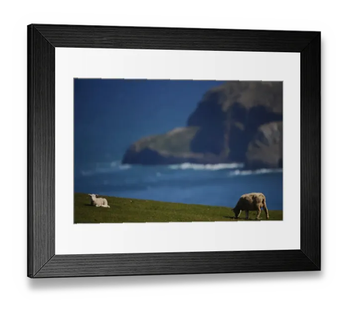 Framed Print : New Zealand-South Island-View Framed Print : New Zealand-South Island-View
