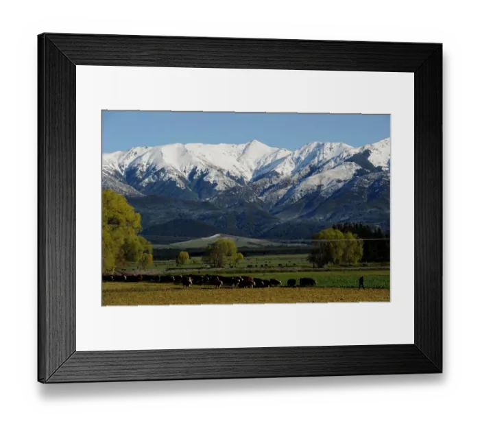 Framed Print : New Zealand-Nature -Mountain Framed Print : New Zealand-Nature -Mountain