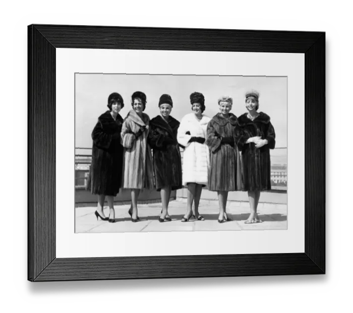 Framed Print : Fashion-Fur-Show Framed Print : Fashion-Fur-Show
