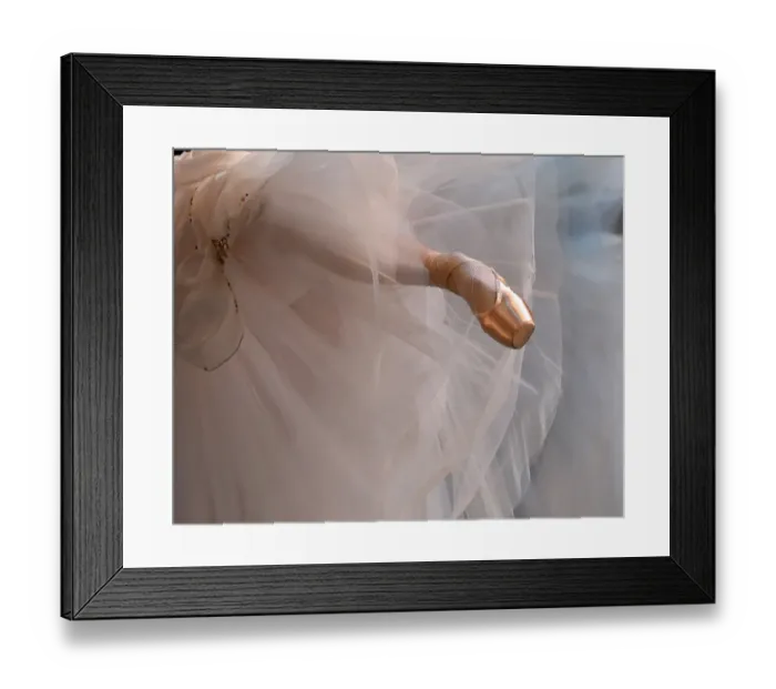 Framed Print : Us-Dance-Mikhailovsky Ballet